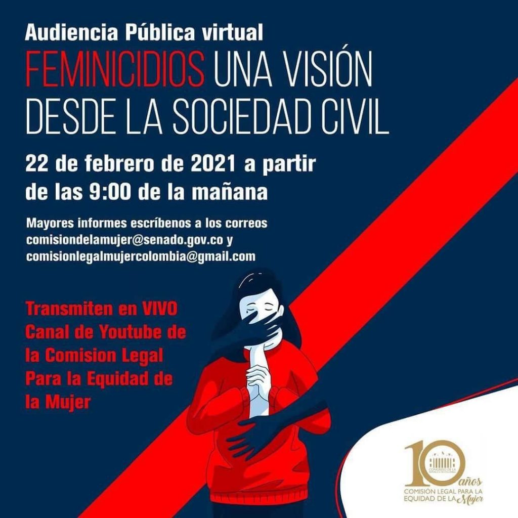 Participación en Audiencia Pública virtual “Feminicidios una visión desde la sociedad civil”.